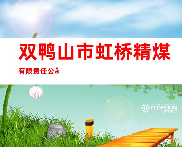 双鸭山市虹桥精煤有限责任公司